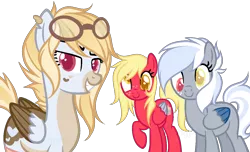 Size: 1280x776 | Tagged: safe, artist:lullabyprince, banned from derpibooru, deleted from derpibooru, derpibooru import, oc, oc:blurry skies, oc:featherbrain, oc:fleet feather, unofficial characters only, pegasus, pony, base used, colored pupils, colored wings, colored wingtips, female, goggles, half-siblings, heterochromia, mare, multicolored wings, offspring, parent:big macintosh, parent:derpy hooves, parents:derpymac, raised hoof, siblings, simple background, sisters, transparent background, wings