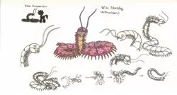 Size: 1629x876 | Tagged: safe, artist:smcho1014, banned from derpibooru, deleted from derpibooru, derpibooru import, oc, oc:wild sketchy, unofficial characters only, arthropleura, centipede, giant centipede, pony, unicorn, colored pencil drawing, concept art, male, self-transfiguration, size chart, size comparison, stallion, traditional art, transfiguration, transformation