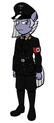Size: 774x1744 | Tagged: safe, artist:regularmouseboy, banned from derpibooru, deleted from derpibooru, derpibooru import, limestone pie, anthro, angry, armband, clothes, hat, looking at you, military, nazi, nazi armband, officer, simple background, solo, swastika, transparent background, uniform, world war ii