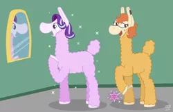 Size: 1024x666 | Tagged: safe, artist:ginkadia, banned from derpibooru, deleted from derpibooru, derpibooru import, starlight glimmer, oc, oc:spring heart, llama, duo, ear piercing, earring, female, freckles, glasses, jewelry, mirror, piercing, reflection, species swap, surprised, wand