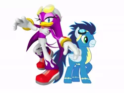 Size: 800x600 | Tagged: safe, artist:amyrosefan201, banned from derpibooru, deleted from derpibooru, derpibooru import, soarin', crossover, sonic the hedgehog (series), wave the swallow