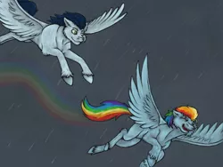 Size: 1024x768 | Tagged: safe, artist:soarindash, banned from derpibooru, deleted from derpibooru, derpibooru import, rainbow dash, soarin', pegasus, female, flying, male, rain, shipping, soarindash, straight