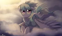 Size: 1360x800 | Tagged: dead source, safe, artist:verawitch, banned from derpibooru, deleted from derpibooru, derpibooru import, cloudchaser, pegasus, pony, :<, clothes, cloud, cloudy, cute, female, hoodie, mare, sky, solo, sweater