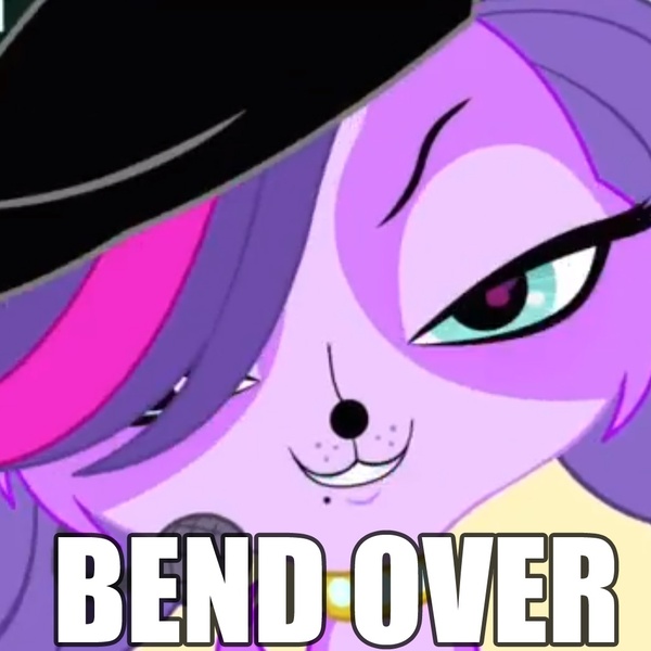 Size: 1047x1047 | Tagged: questionable, banned from derpibooru, deleted from derpibooru, derpibooru import, barely pony related, bend over, caption, image macro, littlest pet shop, parody, text, twilight barkle, zoe trent
