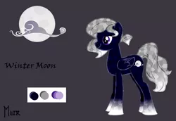 Size: 2658x1833 | Tagged: safe, artist:muir, banned from derpibooru, deleted from derpibooru, derpibooru import, oc, oc:winter moon, unofficial characters only, crystal pony, pegasus, pony, reference sheet, unshorn fetlocks