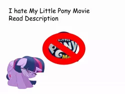 Size: 960x720 | Tagged: safe, banned from derpibooru, deleted from derpibooru, derpibooru import, twilight sparkle, my little pony: the movie, comic sans, hate, hater, movie drama, read description, sad