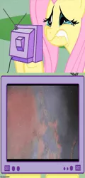 Size: 490x1022 | Tagged: semi-grimdark, artist:gollum123, banned from derpibooru, deleted from derpibooru, derpibooru import, screencap, fluttershy, kaiju, death, exploitable meme, godzilla, meme, obligatory pony, sad, tv meme