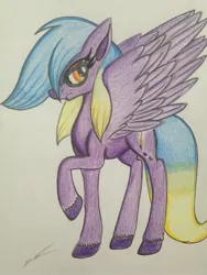 Size: 2448x3264 | Tagged: safe, artist:luxiwind, banned from derpibooru, deleted from derpibooru, derpibooru import, oc, oc:anna nimbus, pegasus, pony, female, glasses, high res, mare, solo, traditional art