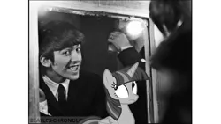Size: 1280x720 | Tagged: safe, banned from derpibooru, deleted from derpibooru, derpibooru import, screencap, twilight sparkle, twilight sparkle (alicorn), alicorn, human, pony, 1960s, black and white, england, george harrison, grayscale, irl, liverpool, monochrome, obligatory pony, photo, ponies in real life, the beatles