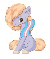 Size: 1081x1257 | Tagged: safe, artist:vepra, banned from derpibooru, deleted from derpibooru, derpibooru import, oc, unnamed oc, unofficial characters only, pony, female, flag, mare, pride, pride flag, sitting, trans girl, transgender, transgender pride flag