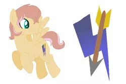 Size: 632x423 | Tagged: safe, artist:bronywolf33, banned from derpibooru, deleted from derpibooru, derpibooru import, oc, oc:arrow bangs, pegasus, pony, male, offspring, parent:feather bangs, parent:fluttershy, reference sheet, simple background, solo, stallion, white background