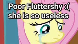 Size: 1280x720 | Tagged: safe, banned from derpibooru, deleted from derpibooru, derpibooru import, edit, edited screencap, screencap, fluttershy, season 4, abuse, crying, downvote bait, flutterbuse, op is trying too hard, op is wrong, sad, text, useless