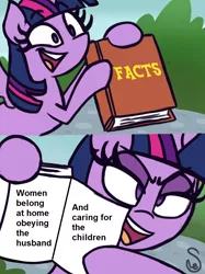 Size: 760x1015 | Tagged: safe, artist:quarium edits, banned from derpibooru, deleted from derpibooru, derpibooru import, twilight sparkle, alicorn, ed edd n eddy, exploitable meme, image macro, meme, twilight's fact book, zimbabwe