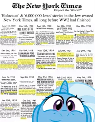 Size: 990x1278 | Tagged: artist needed, source needed, safe, banned from derpibooru, deleted from derpibooru, derpibooru import, trixie, female, history, holocaust, mare, newspaper, obligatory pony, solo, text, the new york times