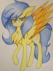 Size: 1024x1365 | Tagged: safe, artist:luxiwind, banned from derpibooru, deleted from derpibooru, derpibooru import, oc, oc:gold aura, pegasus, pony, chest fluff, female, mare, solo, traditional art