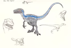 Size: 2143x1470 | Tagged: safe, artist:smcho1014, banned from derpibooru, deleted from derpibooru, derpibooru import, dinosaur, velociraptor, barely pony related, blue (raptor), colored pencil drawing, concept art, size chart, size comparison, traditional art