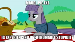 Size: 888x499 | Tagged: safe, banned from derpibooru, deleted from derpibooru, derpibooru import, edit, edited screencap, screencap, maud pie, maud pie (episode), basket, food, joke, meme, muffin, picnic, solo