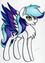 Size: 2455x3421 | Tagged: safe, artist:luxiwind, banned from derpibooru, deleted from derpibooru, derpibooru import, oc, oc:toruwa, pegasus, pony, colored wings, female, heterochromia, mare, multicolored wings, solo, traditional art, wings