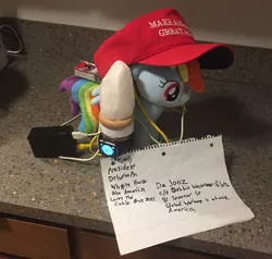 Size: 768x730 | Tagged: safe, banned from derpibooru, deleted from derpibooru, derpibooru import, rainbow dash, apple watch, background pony strikes again, hat, irl, make america great again, photo, plushie, politics