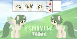 Size: 1199x608 | Tagged: safe, artist:sinamuna, banned from derpibooru, deleted from derpibooru, derpibooru import, oc, oc:fleetflight, unofficial characters only, alicorn, pony, fangs, feathered hair, female, green eyes, green hair, horn, mare, reference sheet, solo, wings