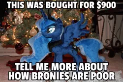 Size: 771x514 | Tagged: safe, banned from derpibooru, deleted from derpibooru, derpibooru import, princess luna, alicorn, christmas, christmas tree, drama, holiday, horn, meme, money, op is trying too hard, op is wrong, plushie, purple tinker, tree, wings