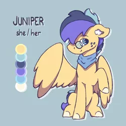 Size: 1024x1024 | Tagged: safe, artist:vepra, banned from derpibooru, deleted from derpibooru, derpibooru import, oc, oc:juniper, pegasus, pony, female, glasses, image, mare, png, pronouns