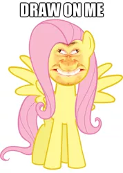 Size: 625x878 | Tagged: safe, banned from derpibooru, deleted from derpibooru, derpibooru import, fluttershy, draw on me, exploitable meme, meme, photoshop