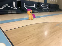 Size: 4032x3024 | Tagged: safe, banned from derpibooru, deleted from derpibooru, derpibooru import, edit, editor:undeadponysoldier, scootaloo, pony, bleachers, gym, highschool, irl, photo, ponies in real life, school, solo