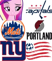 Size: 2560x2976 | Tagged: safe, banned from derpibooru, deleted from derpibooru, derpibooru import, princess cadance, pony, american football, basketball, hockey, ice hockey, mlb, mls, nba, new england revolution, new york giants, new york mets, nfl, nhl, portland trail blazers, sports, washington capitals