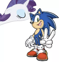 Size: 897x945 | Tagged: safe, banned from derpibooru, deleted from derpibooru, derpibooru import, rarity, crossover, crossover shipping, female, kissing, male, rarisonic, shipping, sonic the hedgehog, sonic the hedgehog (series), straight