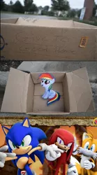 Size: 502x900 | Tagged: safe, banned from derpibooru, deleted from derpibooru, derpibooru import, fanfic:my little dashie, dashie meme, exploitable meme, female, filly, good people finding dash meme, image, knuckles the echidna, male, meme, miles "tails" prower, obligatory pony, png, sonic the hedgehog, sonic the hedgehog (series)