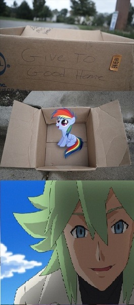 Size: 303x688 | Tagged: safe, banned from derpibooru, deleted from derpibooru, derpibooru import, human, natural harmonia gropius, fanfic:my little dashie, box, cardboard box, dashie meme, evil people finding dash meme, exploitable meme, female, filly, good people finding dash meme, meme, morally ambiguous people finding dash meme, n, obligatory pony, pokémon, younger