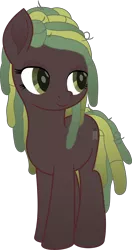 Size: 5000x9444 | Tagged: safe, artist:temp, banned from derpibooru, deleted from derpibooru, derpibooru import, oc, oc:mulch, earth pony, pony, adoptable, dreadlocks, female, mare, solo