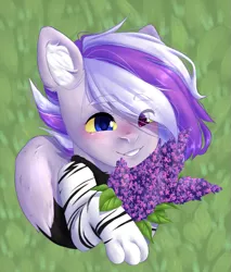 Size: 1043x1224 | Tagged: safe, artist:vell tea, banned from derpibooru, deleted from derpibooru, derpibooru import, oc, unofficial characters only, hybrid, pony, cute, flower, head, heterochromia, solo