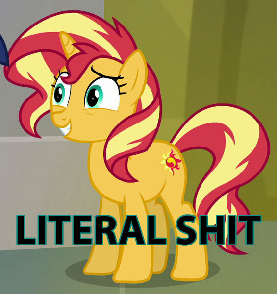 Size: 638x678 | Tagged: safe, banned from derpibooru, deleted from derpibooru, derpibooru import, edit, edited screencap, screencap, sunset shimmer, equestria girls, equestria girls series, forgotten friendship, abuse, background pony strikes again, op is trying too hard, shimmerbuse, solo, text