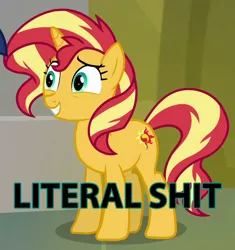 Size: 638x678 | Tagged: safe, banned from derpibooru, deleted from derpibooru, derpibooru import, edit, edited screencap, screencap, sunset shimmer, equestria girls, equestria girls series, forgotten friendship, abuse, background pony strikes again, op is trying too hard, shimmerbuse, solo, text