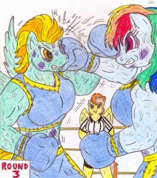 Size: 850x961 | Tagged: safe, banned from derpibooru, deleted from derpibooru, derpibooru import, lightning dust, rainbow dash, spitfire, anthro, boxing, boxing gloves, bruised, midriff, sports, sweat