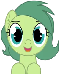 Size: 3800x4700 | Tagged: safe, artist:torvusil, banned from derpibooru, deleted from derpibooru, derpibooru import, oc, oc:silly numptie, unofficial characters only, earth pony, pony, absurd resolution, cute, digital art, female, happy, looking at you, mare, open mouth, plounge, reddit, simple background, smiling, solo, the fluffies, transparent background, wide eyes