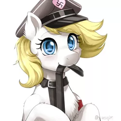 Size: 2000x2000 | Tagged: safe, artist:evomanaphy, banned from derpibooru, deleted from derpibooru, derpibooru import, edit, unauthorized edit, oc, oc:aryanne, cute, female, image, leash, nazi, png, solo, solo female, swastika