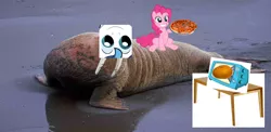 Size: 1112x541 | Tagged: safe, artist:wollap, banned from derpibooru, deleted from derpibooru, derpibooru import, pinkie pie, walrus, food, potato, toaster