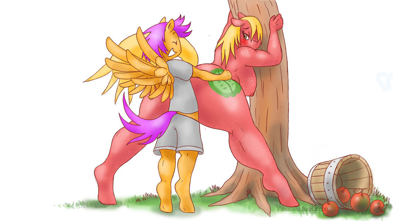 Size: 1500x846 | Tagged: explicit, artist:weasselk, banned from derpibooru, deleted from derpibooru, derpibooru import, big macintosh, scootaloo, anthro, earth pony, pegasus, pony, unguligrade anthro, age difference, apple, ass, big backintosh, big breasts, blushing, breasts, bucket, busty macareina, butt, clothes, colt, colt on mare, commission, eyes closed, female, floppy ears, foalcon, food, from behind, huge breasts, humping, image, jpeg, looking back, macareina, male, mare, nipples, nudity, obscured penetration, older, rule 63, scootamac, scooteroll, sex, shipping, size difference, softcore, spread wings, straight, straight shota, tree, wingboner, wings