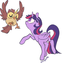 Size: 446x450 | Tagged: safe, artist:uglyfun, banned from derpibooru, deleted from derpibooru, derpibooru import, owlowiscious, twilight sparkle, alicorn, owlicorn, twilight sparkle (alicorn), wingding eyes