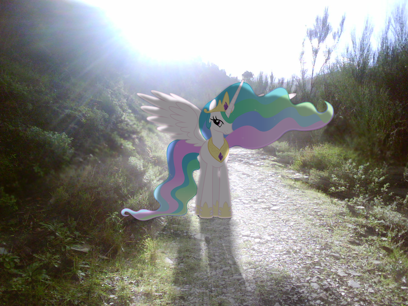 Size: 1280x960 | Tagged: safe, artist:sparkdraws, banned from derpibooru, deleted from derpibooru, derpibooru import, princess celestia, pony, irl, lens flare, mountain, path, photo, ponies in real life, shadow, solo, vector