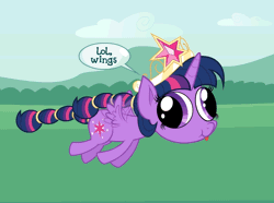 Size: 896x666 | Tagged: safe, artist:tim015, artist:zutheskunk, banned from derpibooru, deleted from derpibooru, derpibooru import, twilight sparkle, twilight sparkle (alicorn), alicorn, pony, animated, dumb running ponies, female, flying, hey you, lol internet, mare, meme, parody, running in the 90s