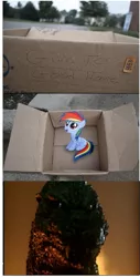 Size: 307x603 | Tagged: safe, banned from derpibooru, deleted from derpibooru, derpibooru import, rainbow dash, fanfic:my little dashie, dashie meme, exploitable meme, godzilla, good people finding dash meme, meme, obligatory pony