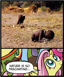 Size: 395x472 | Tagged: grimdark, banned from derpibooru, deleted from derpibooru, derpibooru import, fluttershy, bird, vulture, child, exploitable meme, meme, nature is so fascinating, obligatory pony, starvation