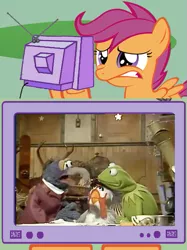 Size: 449x600 | Tagged: safe, banned from derpibooru, deleted from derpibooru, derpibooru import, exploitable meme, gonzo, kermit the frog, meme, obligatory pony, scootachicken, the muppet show, tv meme