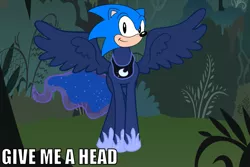 Size: 1019x681 | Tagged: safe, banned from derpibooru, deleted from derpibooru, derpibooru import, princess luna, draw on me, exploitable meme, give me a head, meme, sonic the hedgehog, sonic the hedgehog (series)