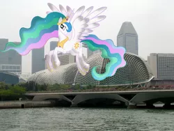 Size: 2048x1536 | Tagged: safe, artist:laopokia, artist:stabzor, banned from derpibooru, deleted from derpibooru, derpibooru import, princess celestia, pony, esplanade, irl, photo, ponies in real life, singapore, solo