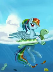 Size: 4230x5821 | Tagged: safe, banned from derpibooru, deleted from derpibooru, derpibooru import, rainbow dash, kein